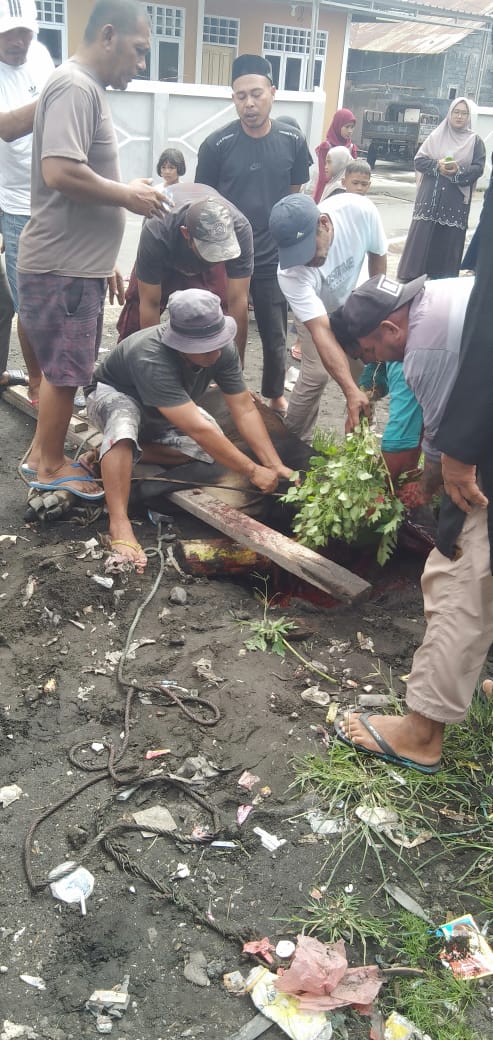 Warga Desa Jalan Baru Tobelo Gelar Penyembelihan Hewan Kurban Secara Gotong Royong